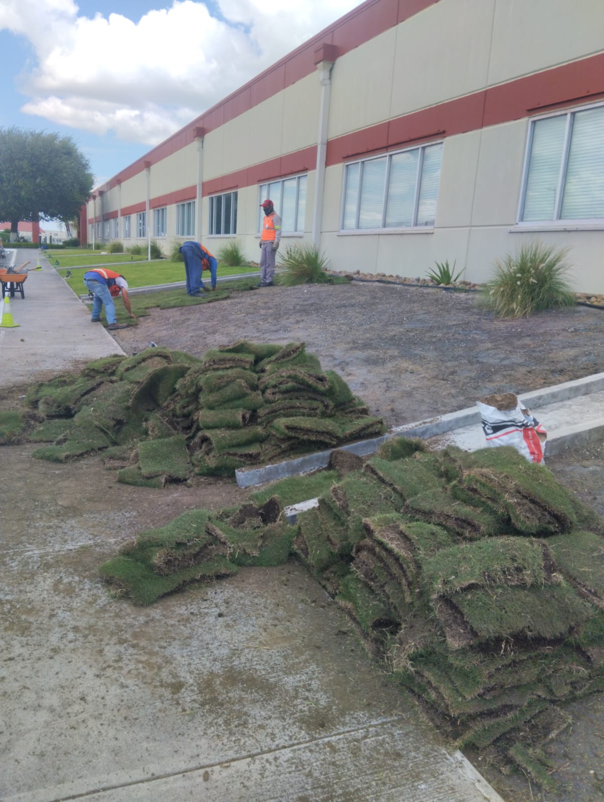 Evidencia de Jardineria 5