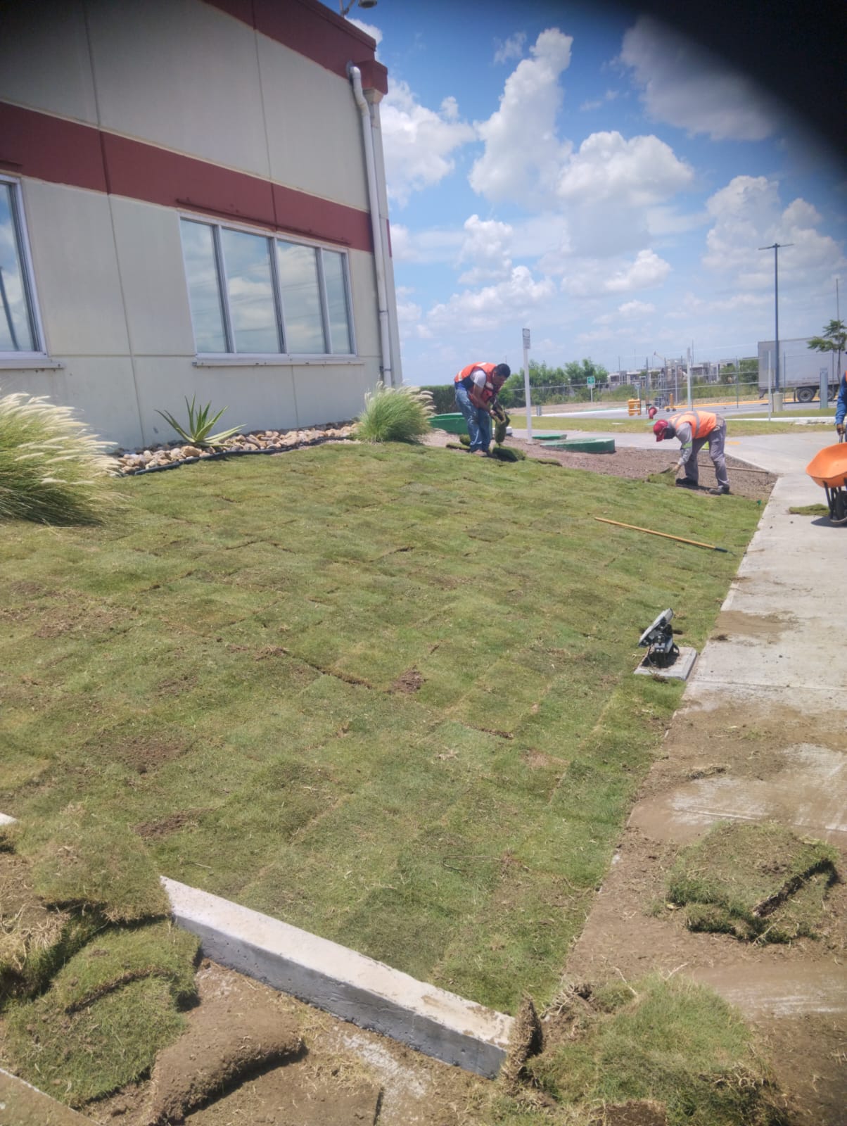 Evidencia de Jardineria 6